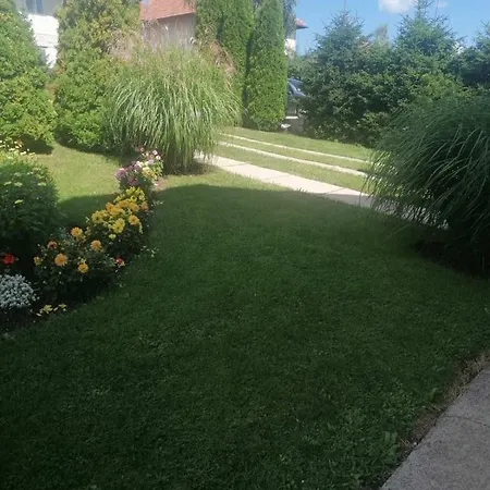 Bozovic Mv Apartmán *