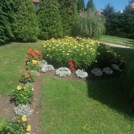 Bozovic Mv * Zlatibor