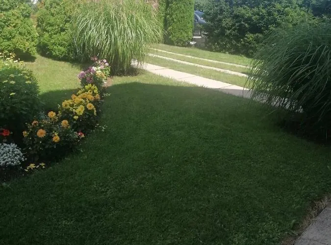 Bozovic Mv Apartman *