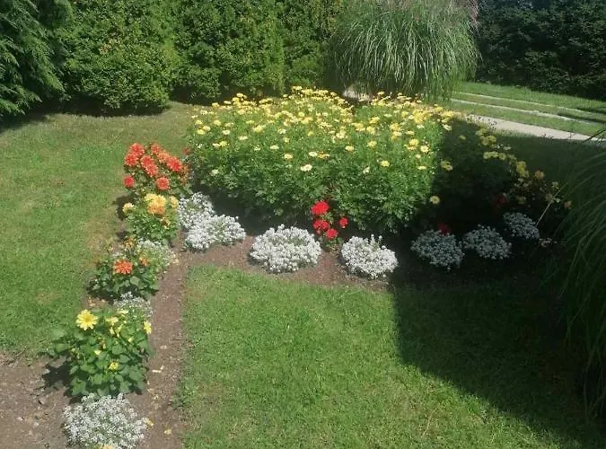 Bozovic Mv * Zlatibor